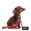 Gotoo Collar estampado cachemira rojo para perros, , large indicador imagen numero 8