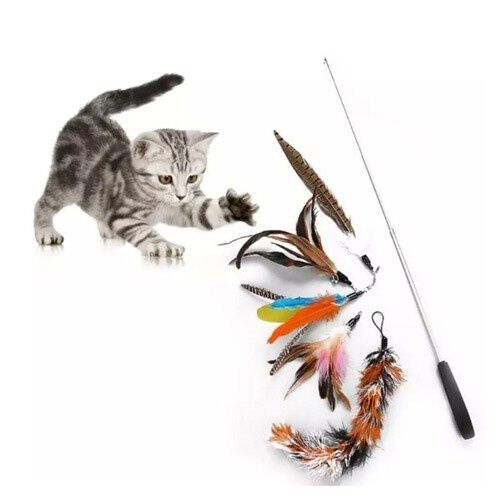 Plumero para gatos, , large Imagen numero 4