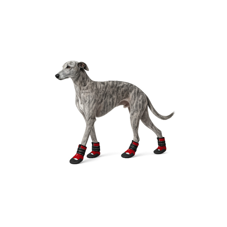Gotoo Zapatos Rojo y Negro para galgos, , large Imagen numero 7