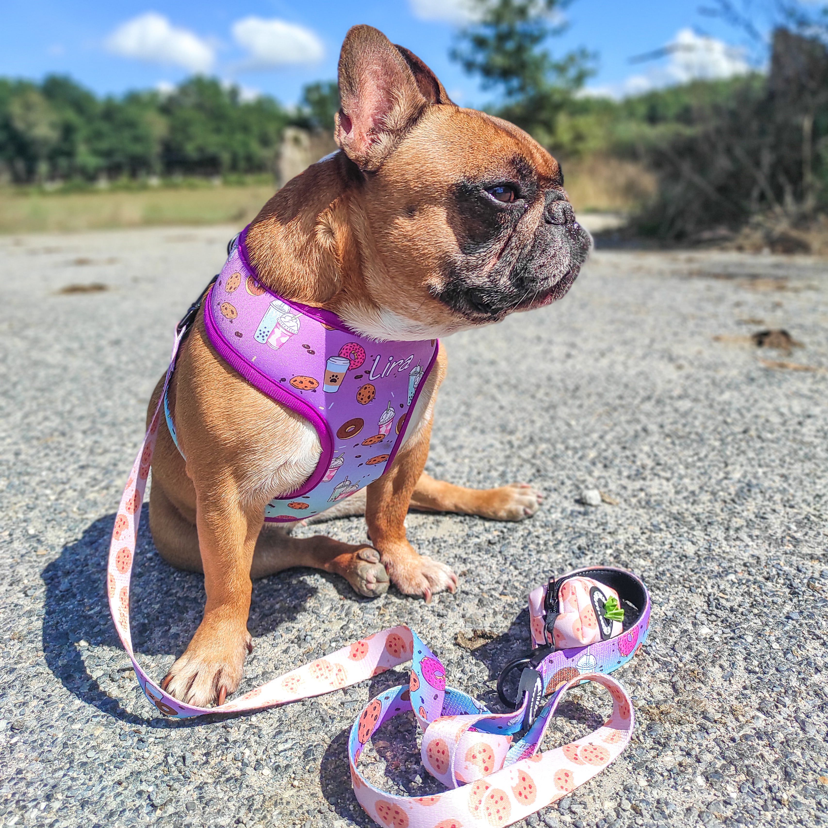 Arn&eacute;s reversible BISCUITS, , large Imagen numero 3