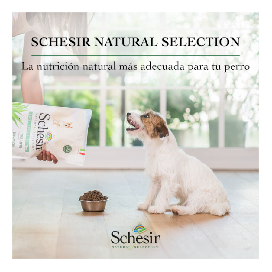 2.24 kg Schesir Adult Small&Toy Natural Selection Pavo pienso para perros, , large Imagen numero 8