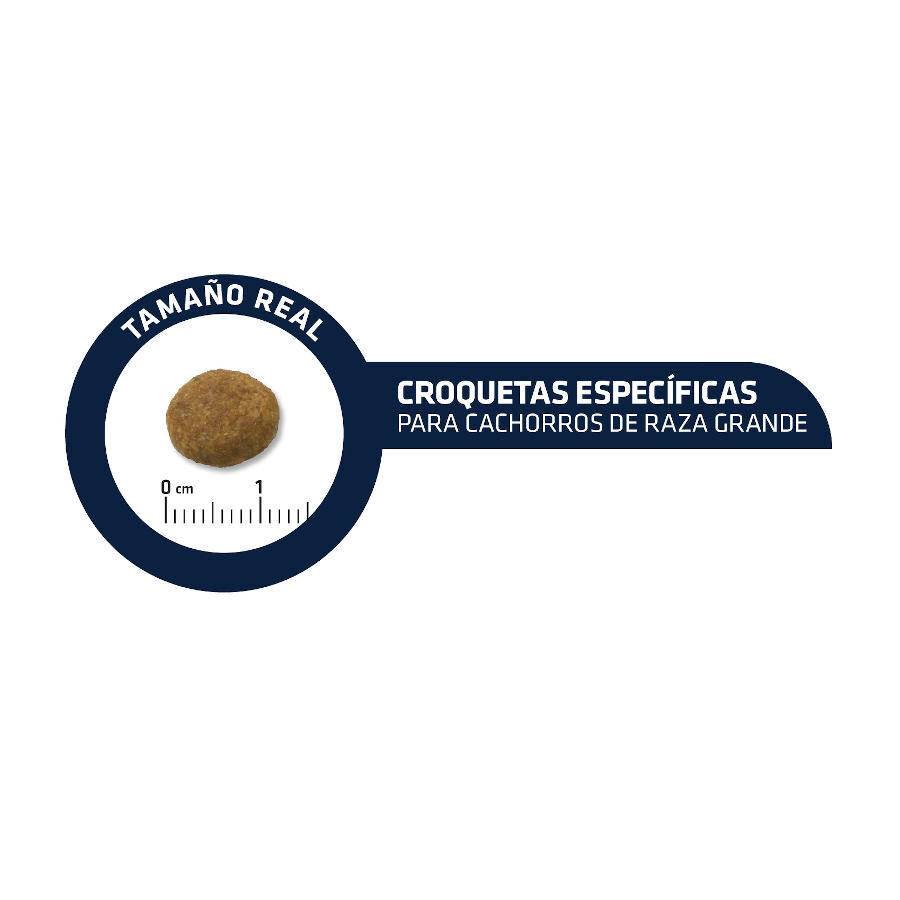 14 kg Advance Active Defense Maxi Junior Pollo y Arroz pienso para perros, , large Imagen numero 3