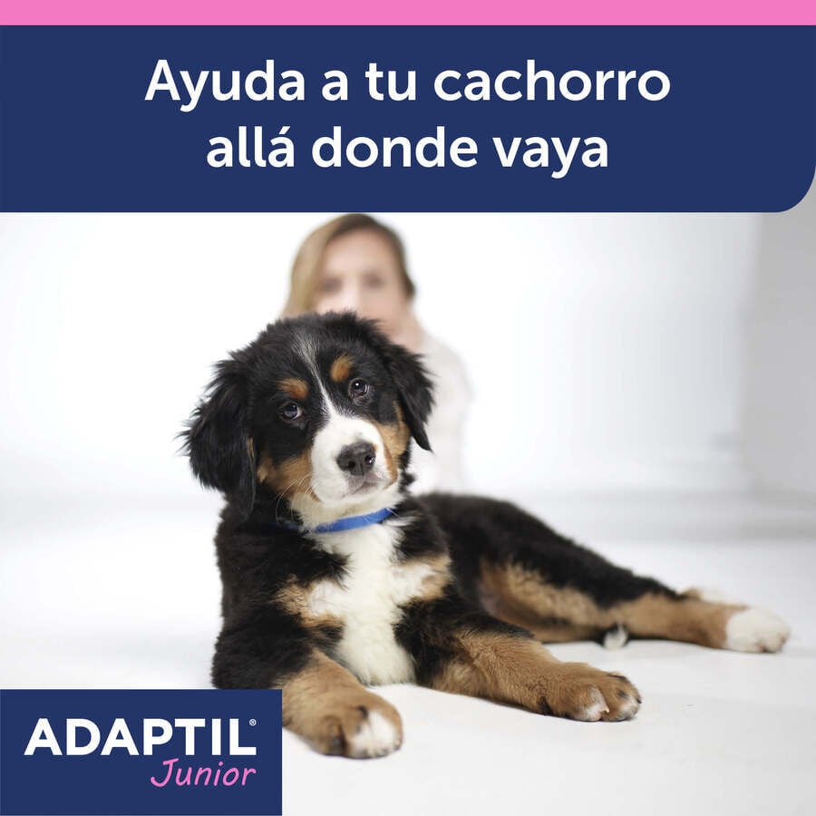 Adaptil Junior Collar Anti-estrés para perros thumbnail