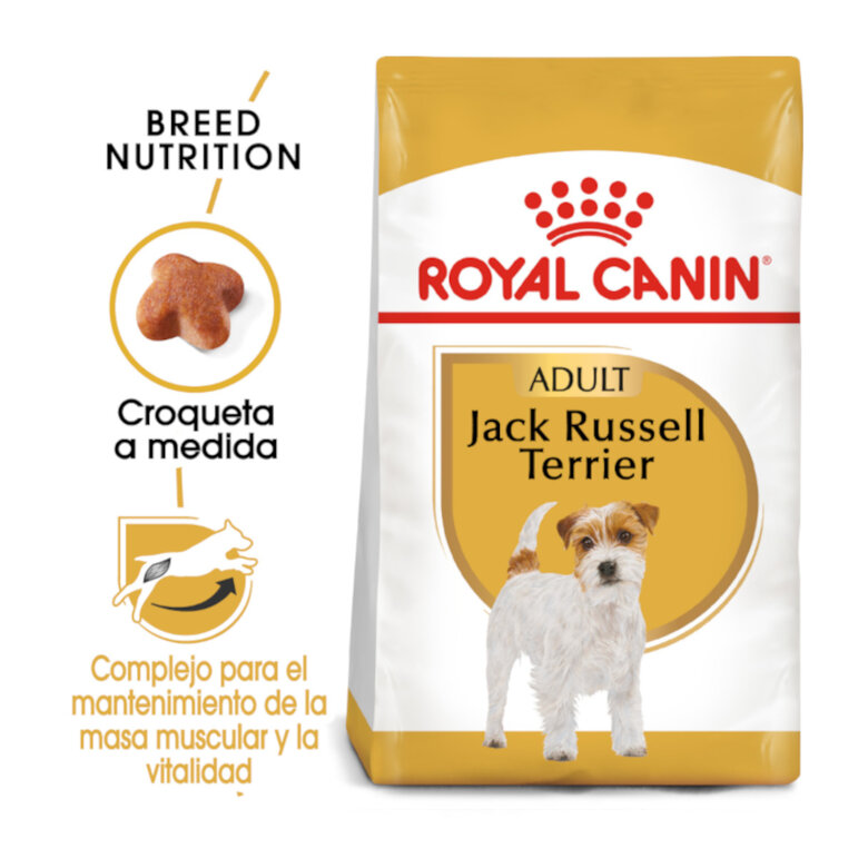 Royal Canin Adult Jack Russell Terrier pienso para perros, , large image number null