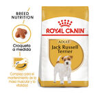 Royal Canin Adult Jack Russell Terrier pienso para perros, , large image number null