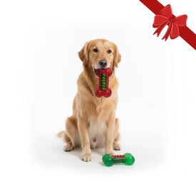 Wonder Christmas Juguete Huesos Navideños para perros