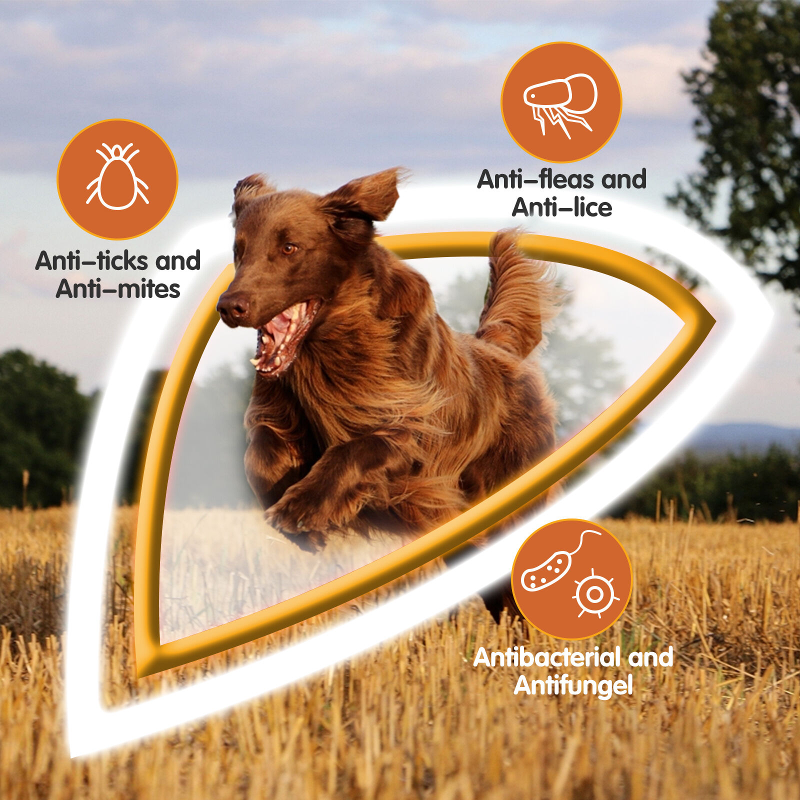 Nobleza Champú Hipoalérgenico con citronela para perros y gatos thumbnail