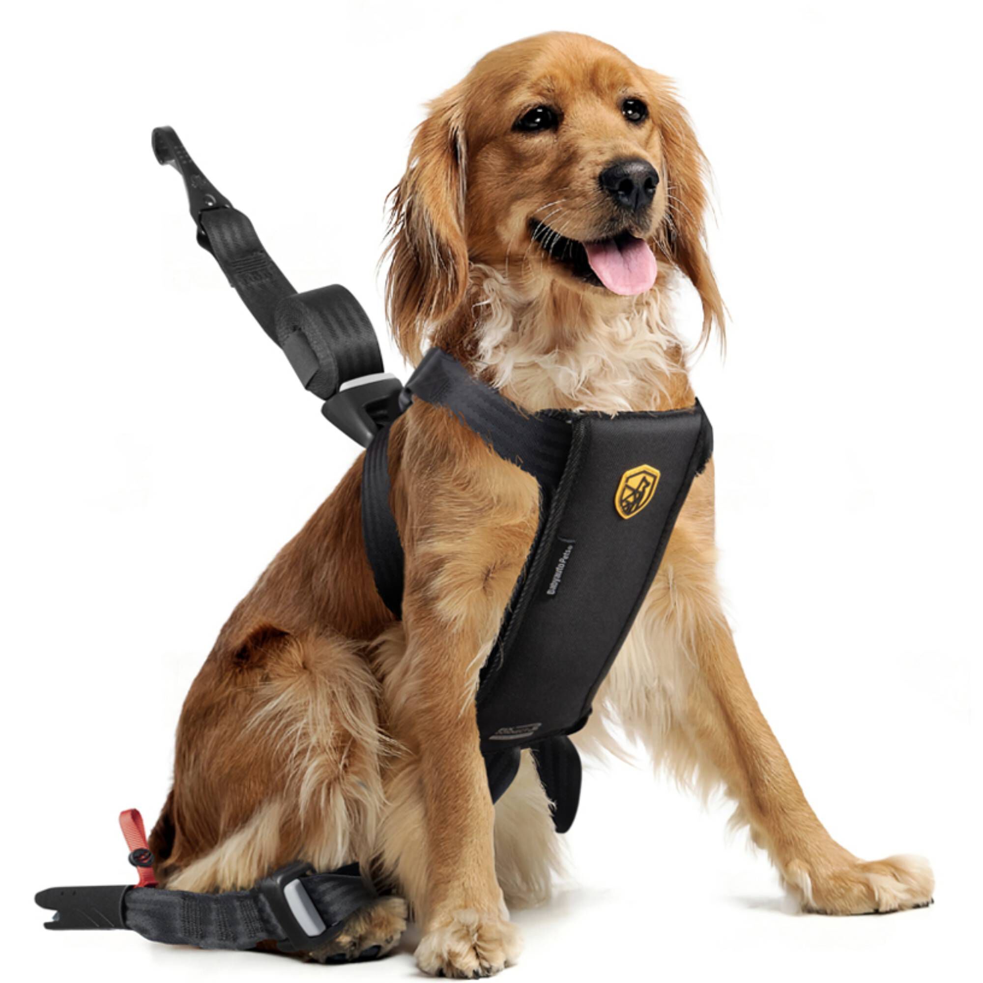 BABYAUTO PETS &ndash; Arn&eacute;s Seguridad Perro Mediano para Coche Travel Fix, , large Imagen numero 1