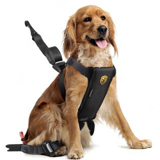 BABYAUTO PETS Arnés Seguridad Coche Travel Fix Homologado Para perros de 8 a 20kg