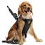 BABYAUTO PETS – Arnés Seguridad Perro Mediano para Coche Travel Fix, , large indicador imagen numero 1