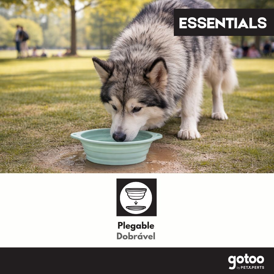 Gotoo Bebedero Plegable y Port&aacute;til de Silicona para perros y gatos, , large Imagen numero 5
