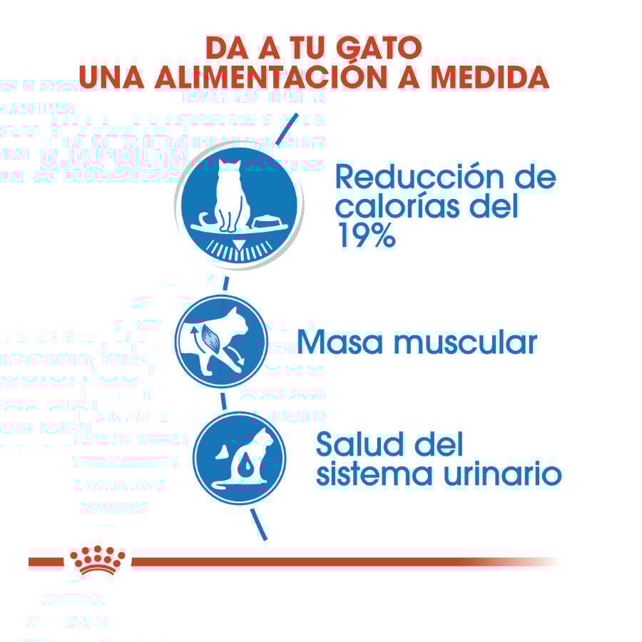 Royal Canin Ultra Light gelatina sobre para gatos thumbnail