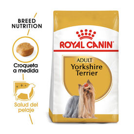 Royal Canin Adult Yorkshire Terrier pienso para perros
