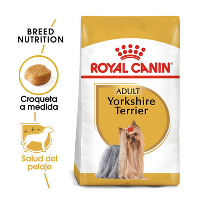 Royal Canin Adult Yorkshire Terrier pienso para perros