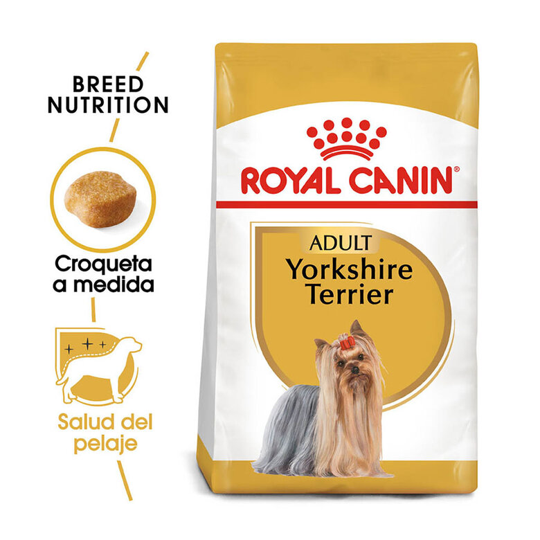 Royal Canin Adult Yorkshire Terrier pienso para perros, , large image number null