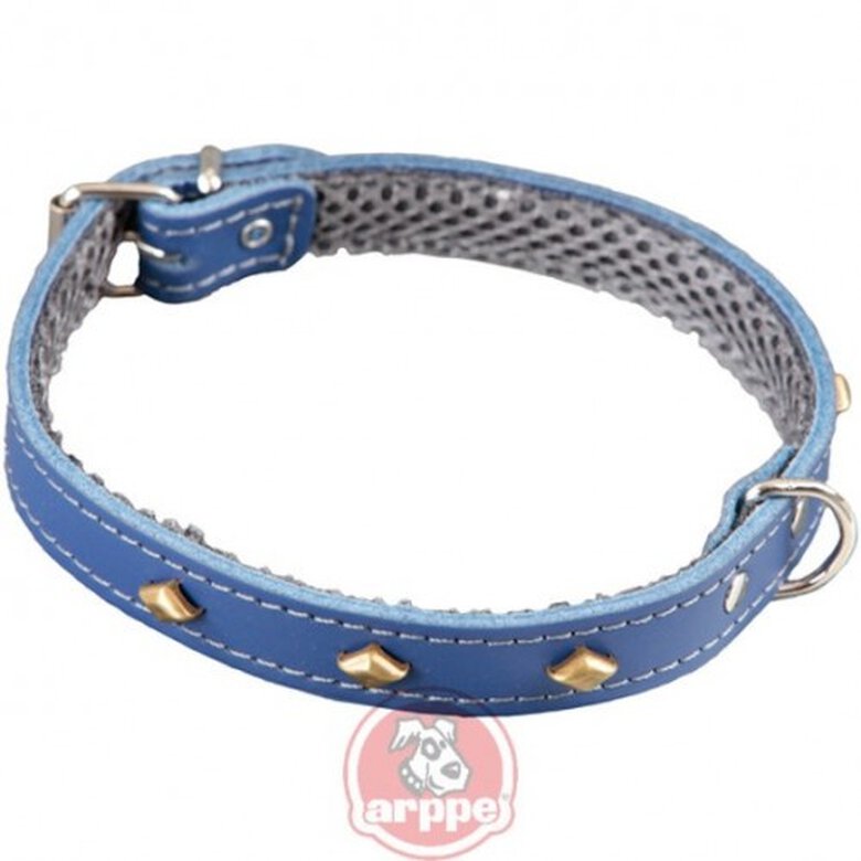 Arppe Fornit Amazone Collar de Cuero Azul para perros, , large image number null