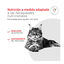1.5 kg Royal Canin Veterinary Urinary S/O Moderate Calorie pienso para gatos, , large indicador imagen numero 4