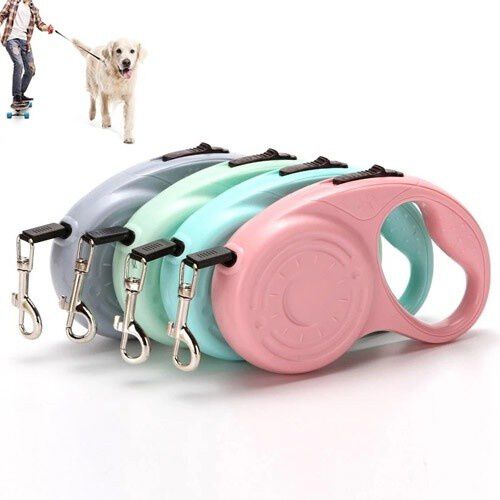 Correa extensible para perro color Azul, , large Imagen numero 3