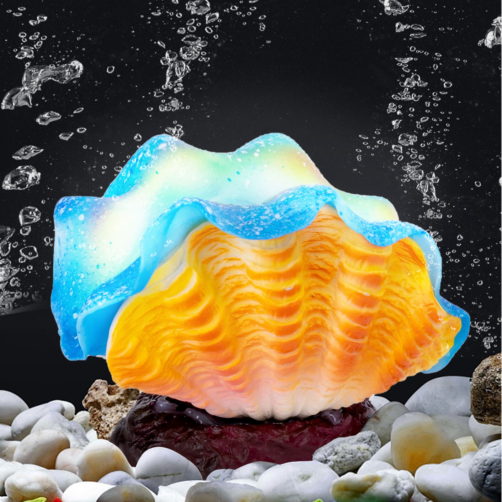 Nobleza Plantas y conchas luminosas para peces