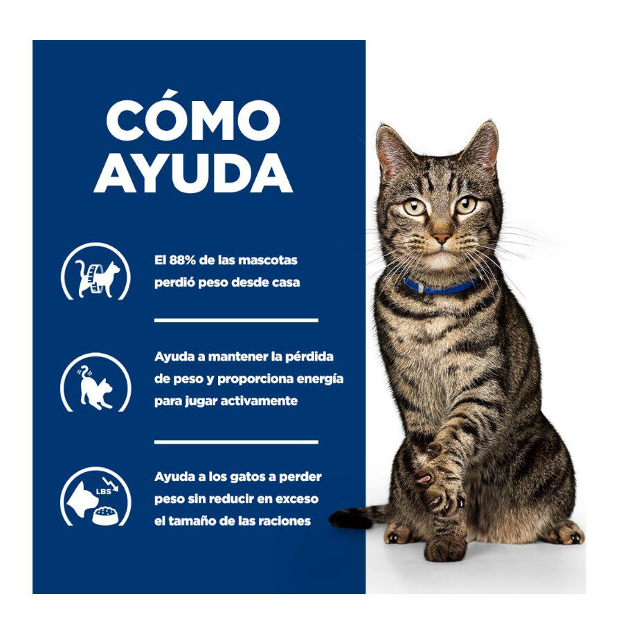 1.5 kg Hill's Prescription Diet Metabolic Salm&oacute;n pienso para gatos, , large Imagen numero 4