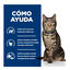 1.5 kg Hill's Prescription Diet Metabolic Salm&oacute;n pienso para gatos, , large indicador imagen numero 4