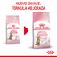 3.5 kg Royal Canin Kitten Sterilised pienso para gatos, , large indicador imagen numero 3