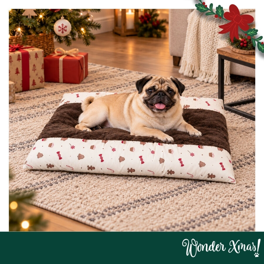 Wonder Christmas Coj&iacute;n Caramelo para perros, , large Imagen numero 2