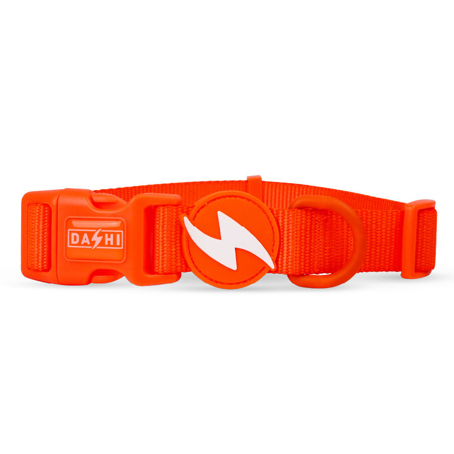 Collar Neon Naranja, , large Imagen numero 1