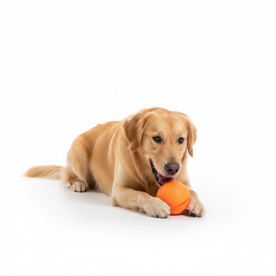 BECO Pelota Portagolosinas de Goma Naranja para perros, , large Imagen numero 4