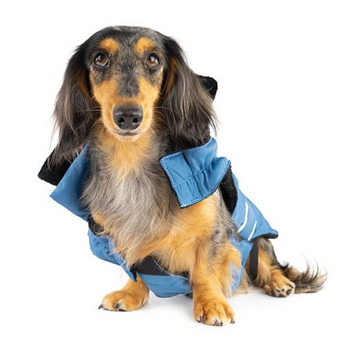 Abrigo Inuit ABRIGO INUIT AZUL 25CM, , large Imagen numero 2