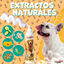 Champú en Seco 500ML Espuma de Mango y Papaya Lavado Seco Sin Enjuague con Extractos Naturales, , large indicador imagen numero 4