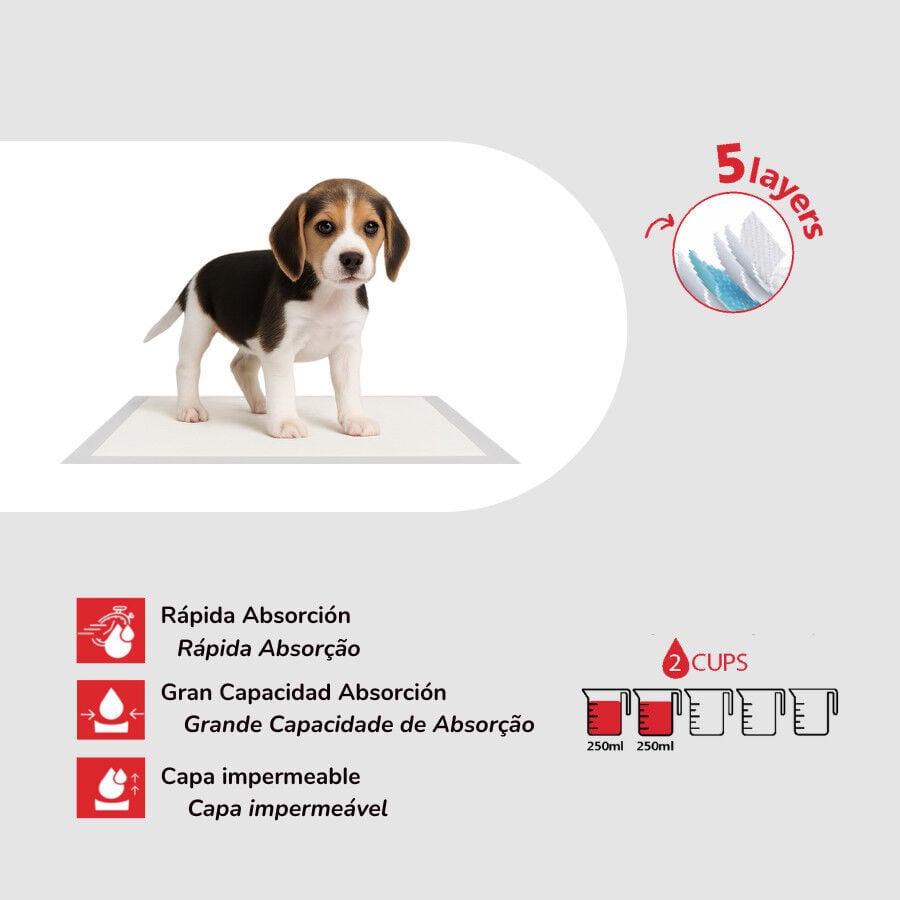 TK Pet Empapadores para perros thumbnail