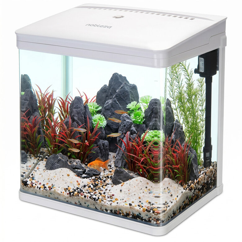 Nobleza - Acuario de Cristal 14L con Iluminación LED y Sistema de Filtro, Pecera con Cubierta y Accesorios para Peces de Agua Dulce y Salada, Diseño Curvo Moderno, Blanco