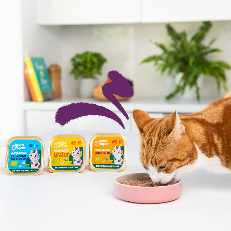 Edgard & Cooper Adult Pollo Ecológico en Paté tarrina para gatos, , large image number null