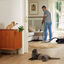 Beaphar CatComfort Relajante en Spray para el estrés ocasional en gatos, , large indicador imagen numero 3