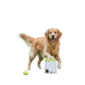 All For Paws Interactives Juguete Lanzador Golosionas para perros