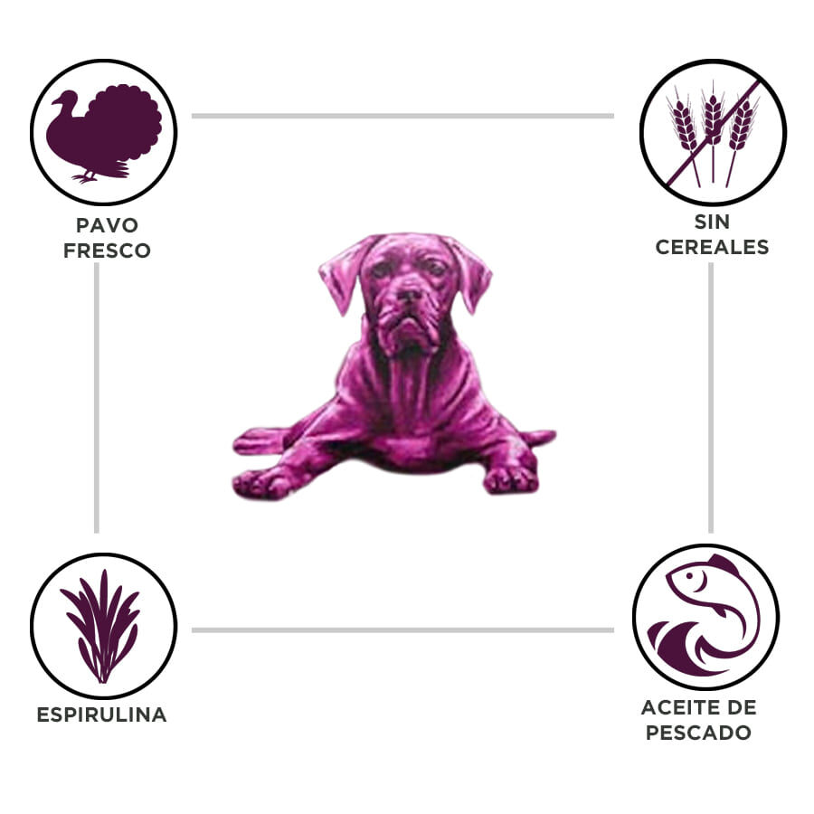 Criadores Adulto Grain Free Pavo pienso para perros de raza mediana y grande thumbnail