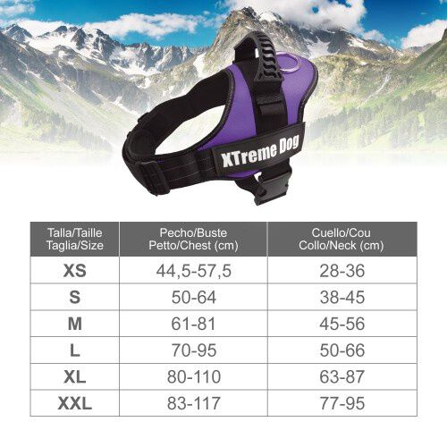 Arn&eacute;s Xtreme para perros color Lila, , large Imagen numero 4