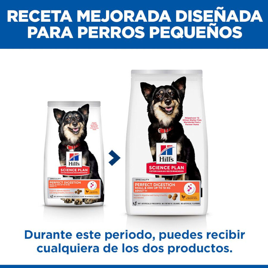 6 kg Hill's Science Plan Perfect Digestion Small y Mini Adult Pollo pienso para perros, , large Imagen numero 3