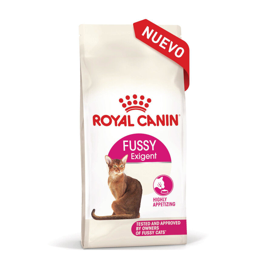 10 kg Royal Canin Fussy Exigent Pienso Ave para gatos, , large Imagen numero 3