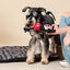 Disney Mickey Cuerda Dental juguete para perros, , large indicador imagen numero 4
