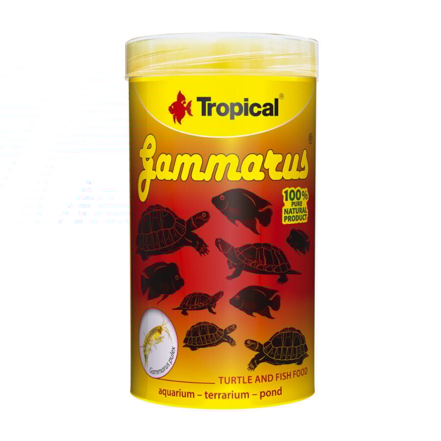 Tropical Gammarus alimento para tortugas
