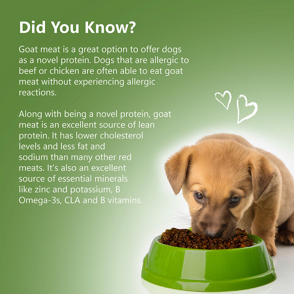 Alimento completo y equilibrado para perros sin cereales con cabra (500 g/17,64 oz), , large Imagen numero 5