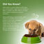 Alimento completo y equilibrado para perros sin cereales con cabra (500 g/17,64 oz), , large indicador imagen numero 5