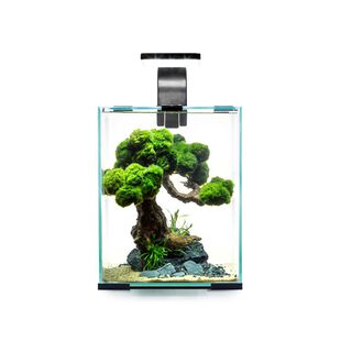 Aquael Shrimp 20 Set DyN acuario