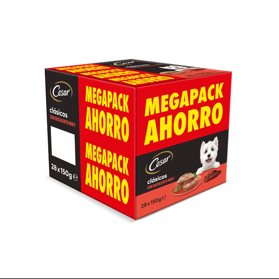 Cesar Buey Tarrina en Paté para Perros