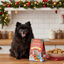 180 g Doggyebag Galletas Navideñas Manzana para Perros, , large indicador imagen numero 2