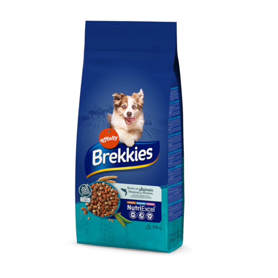 Affinity Brekkies Salmón pienso para perros