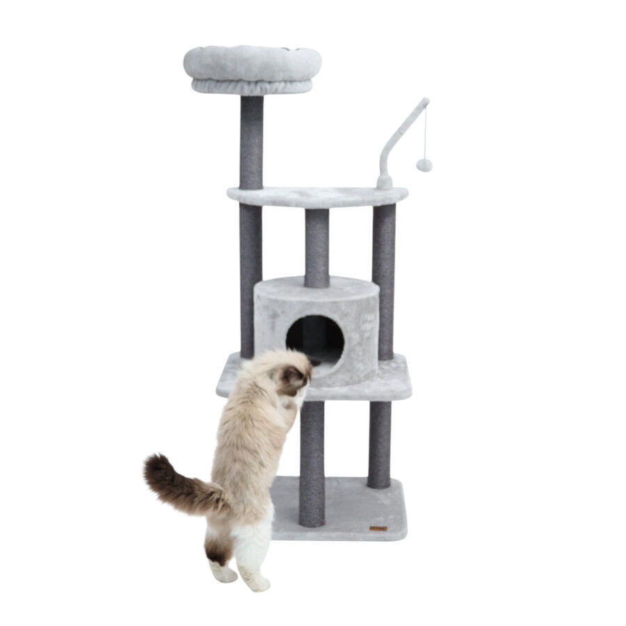 Leeby Kenzo &aacute;rbol rascador con cama para gatos, , large Imagen numero 5