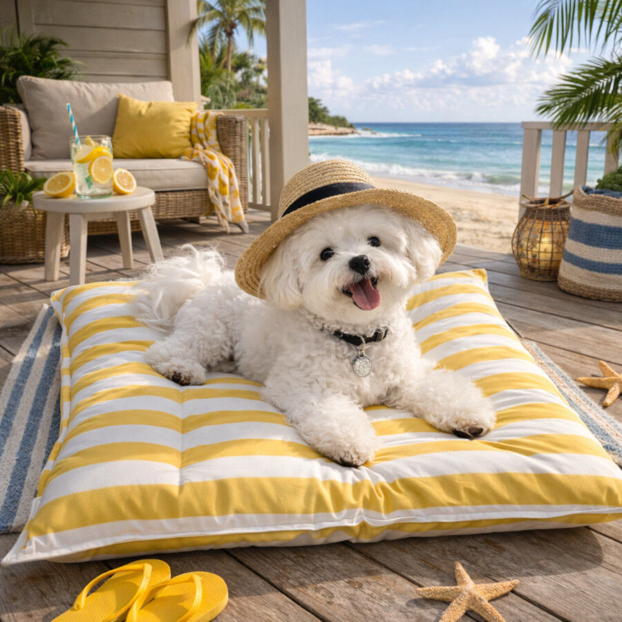 Summer Vibes Cama Rectangular Refrescante Amarilla para perros, , large Imagen numero 1